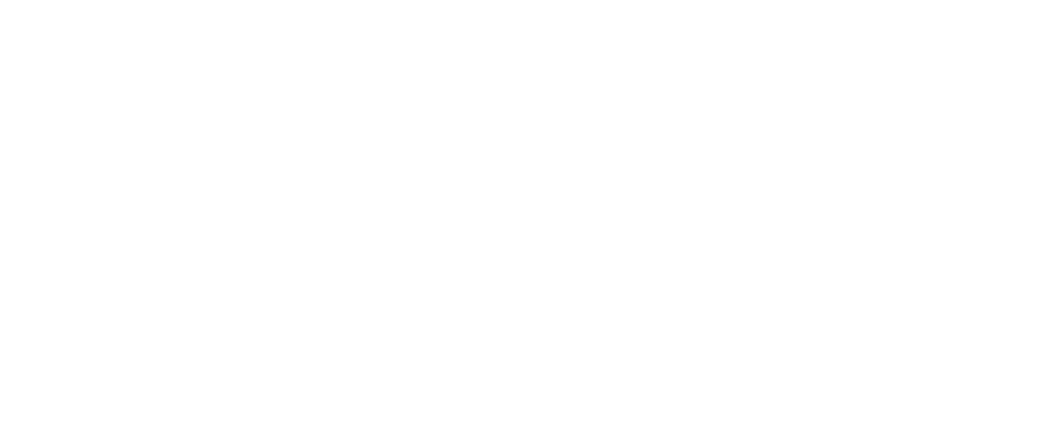 BYD logo